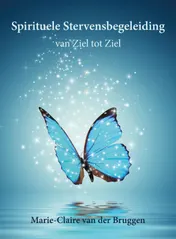 Omslag van Spirituele Stervensbegeleiding