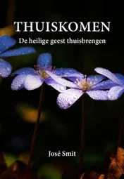 Omslag van Thuiskomen