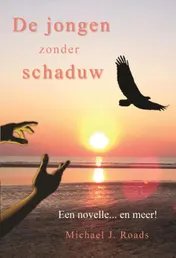 Omslag van De jongen zonder schaduw