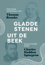 Omslag van Gladde stenen uit de beek