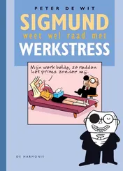 Omslag van Sigmund weet wel raad met werkstress