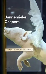 Omslag van Laten we hem Harry noemen