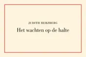 Omslag van Het wachten op de halte