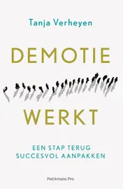 Omslag van Demotie werkt
