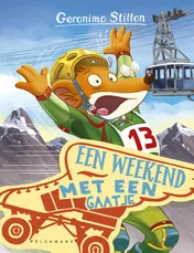 Omslag van Een weekend met een gaatje