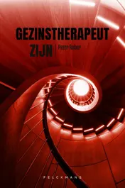 Omslag van Gezinstherapeut zijn