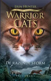 Omslag van De razende storm