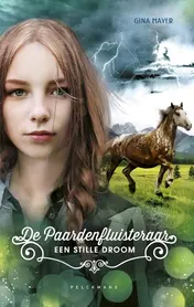 Omslag van Een stille droom