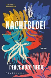 Omslag van Nachtbloei