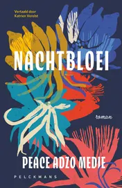 Omslag van Nachtbloei