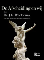 Omslag van De afscheiding en wij