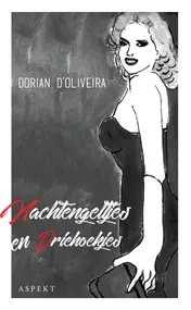 Omslag van Nachtengeltjes en driehoekjes