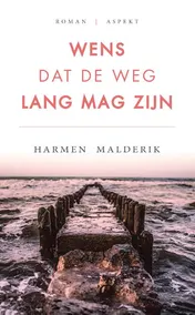 Omslag van Wens dat de weg lang mag zijn