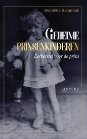 Omslag van Geheime prinsenkinderen GLB