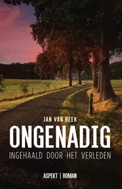Omslag van Ongenadig
