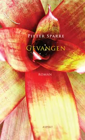 Omslag van Gevangen