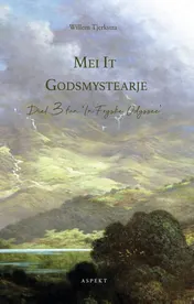 Omslag van Mei it godsmystearje