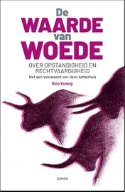 Omslag van De waarde van woede
