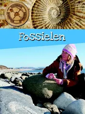 Omslag van Fossielen