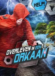 Omslag van Overleven in een orkaan