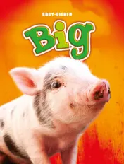 Omslag van Big