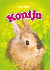 Omslag van Konijn