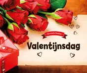 Omslag van Valentijnsdag