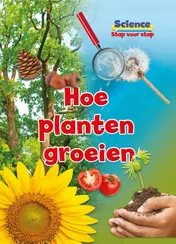 Omslag van Hoe planten groeien