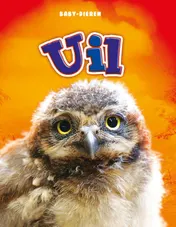 Omslag van Uil