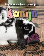 Omslag van Konijn
