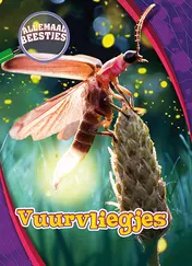 Omslag van Vuurvliegjes