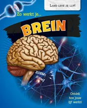 Omslag van Zo werkt je brein
