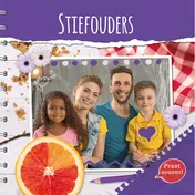 Omslag van Stiefouders