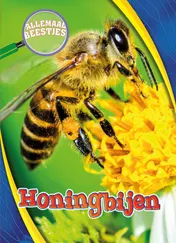 Omslag van Honingbijen