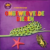 Omslag van Ongewervelden