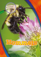 Omslag van Hommels