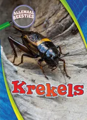 Omslag van Krekels