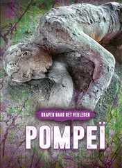 Omslag van Pompeï