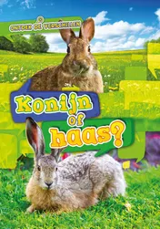 Omslag van Konijn of haas?