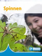 Omslag van Spinnen