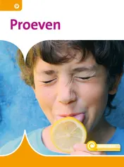 Omslag van Proeven
