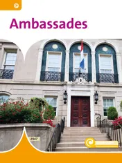Omslag van Ambassades