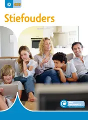 Omslag van Stiefouders