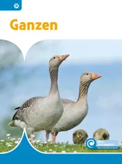 Omslag van Ganzen