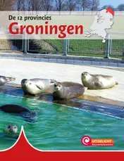 Omslag van Groningen