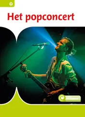 Omslag van Het popconcert