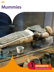 Omslag van Mummies