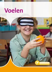 Omslag van Voelen