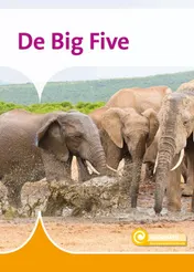 Omslag van De Big Five