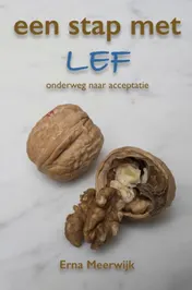 Omslag van Een stap met lef